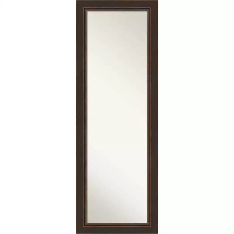 19" x 53" Non-Beveled Lara Bronze Wood on The Door Mirror - Amanti Art