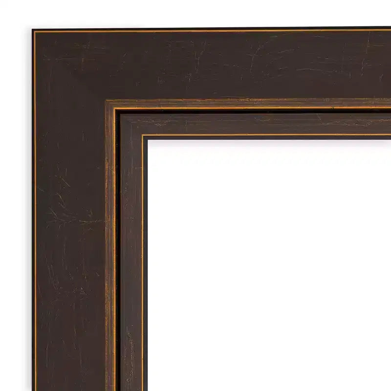 19" x 53" Non-Beveled Lara Bronze Wood on The Door Mirror - Amanti Art
