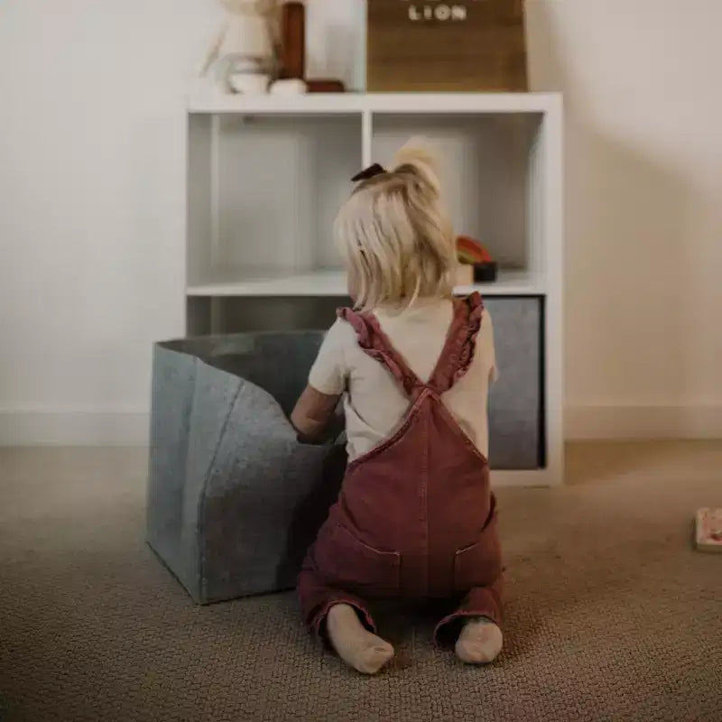 Parker Baby Felt Storage Cube Bin
